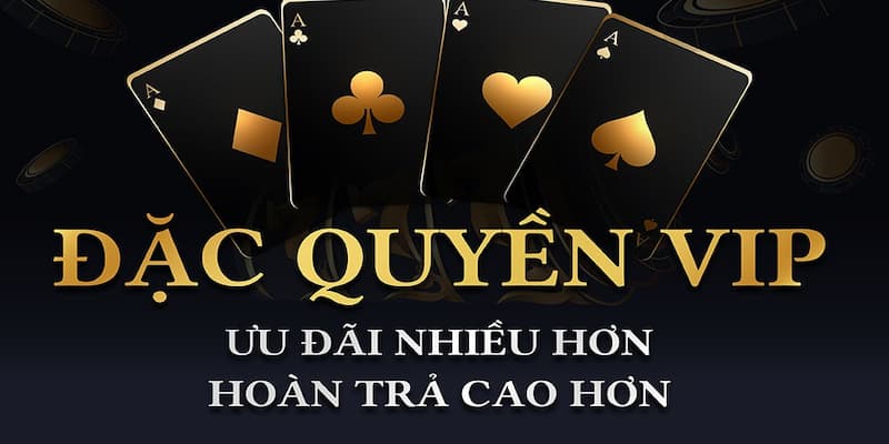 Chương trình VIP độc quyền dành cho hội viên trung thành của FOR88